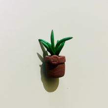 Load image into Gallery viewer, Mini plant - Aloe Vera
