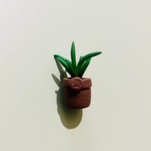 Mini plant - Aloe Vera