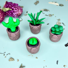 Load image into Gallery viewer, Mini plant - Lithops
