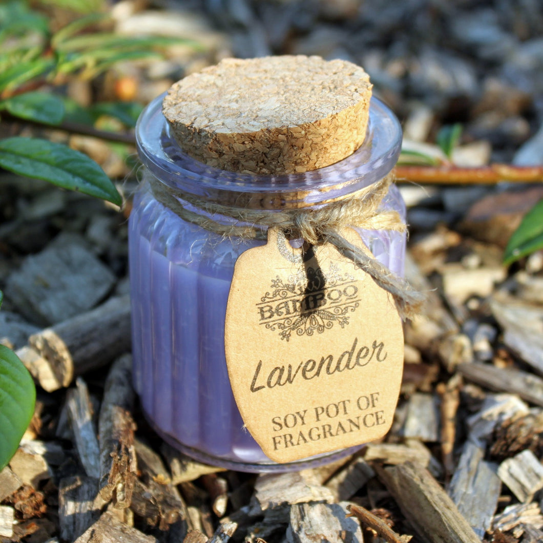 Lavender Soy Pot Fragrance Candle