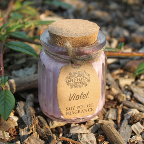 Violet Soy Pot Fragrance Candle