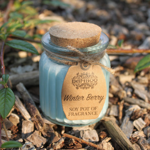 Winter Berry Soy Pot Fragrance Candle