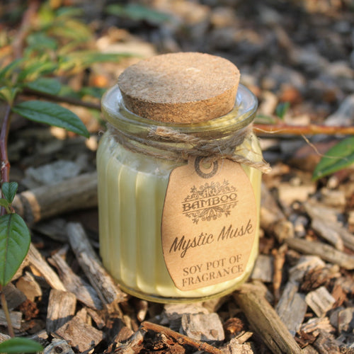 Mystic Musk Soy Pot Fragrance Candle