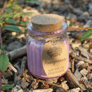 Pomegranate Soy Pot Fragrance Candle