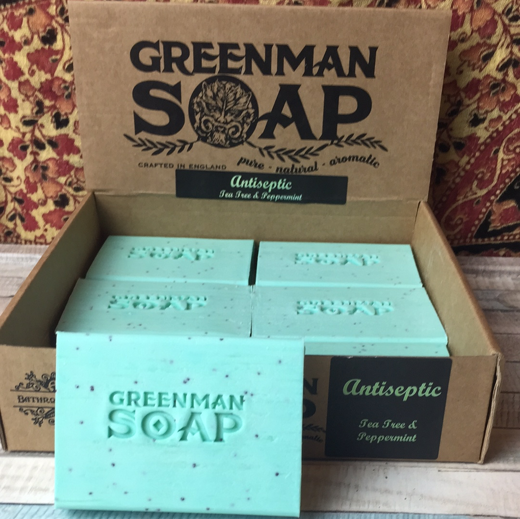 100g Antiseptic tea tree & peppermint soap slice