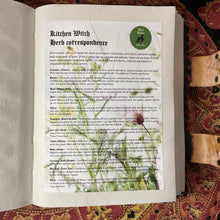 Load image into Gallery viewer, Kitchen Witch Herb Correspondence Book of Shadows Page
