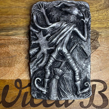 Load image into Gallery viewer, Clumsy Witch Silver Hanging Plaque
